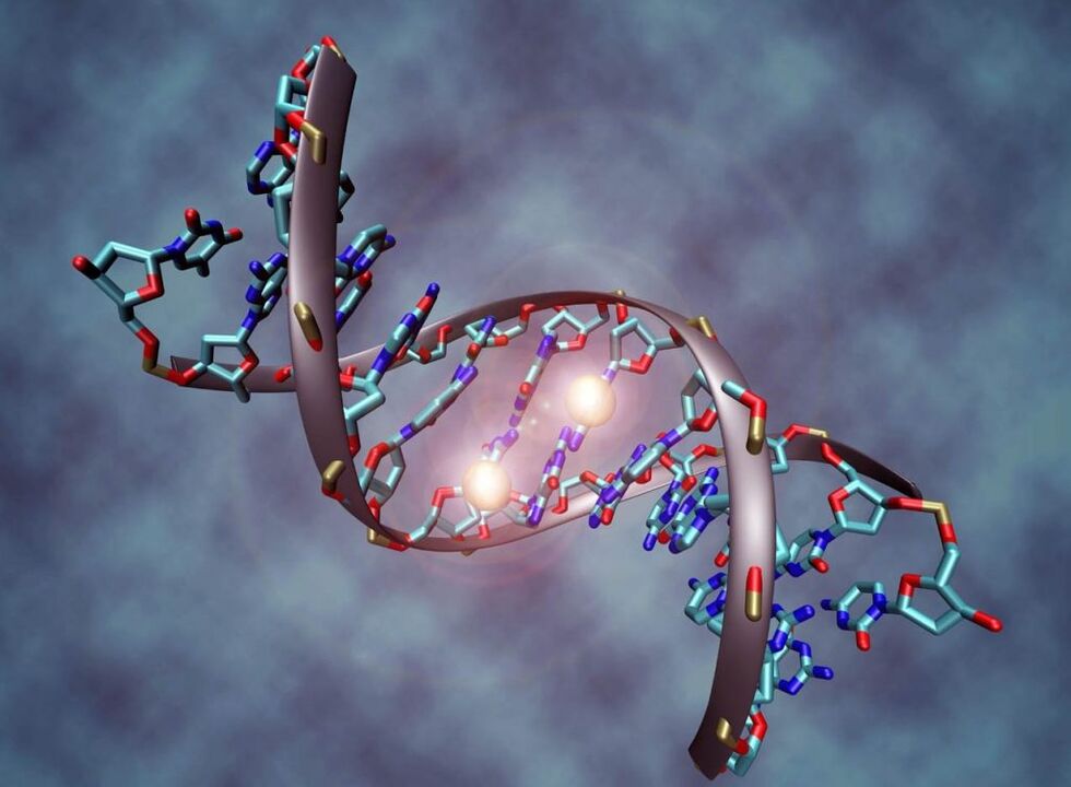 Stammzellen für Arthritis